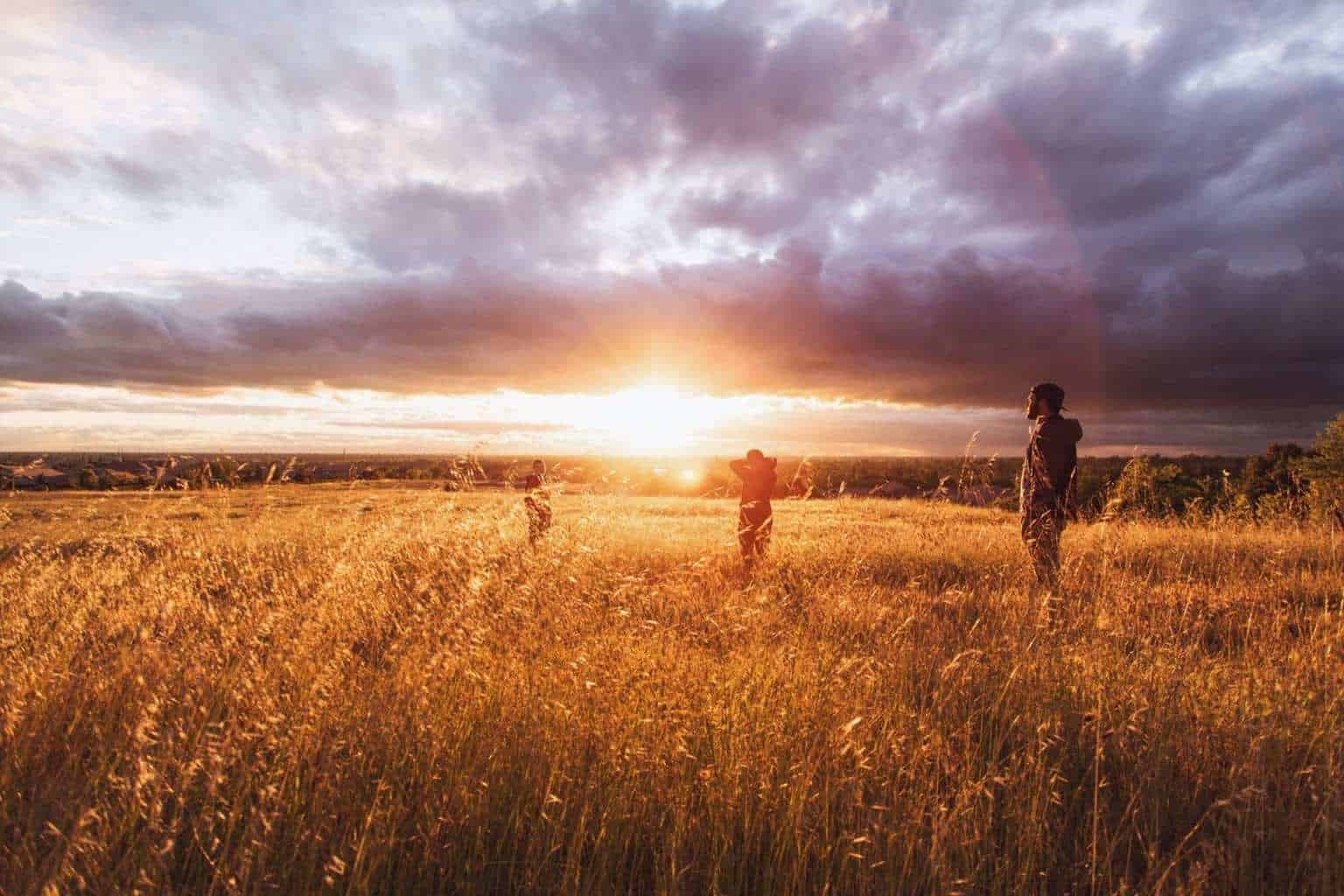 Finding Purpose in Life: The Long Guide to Finding Your Life's Work