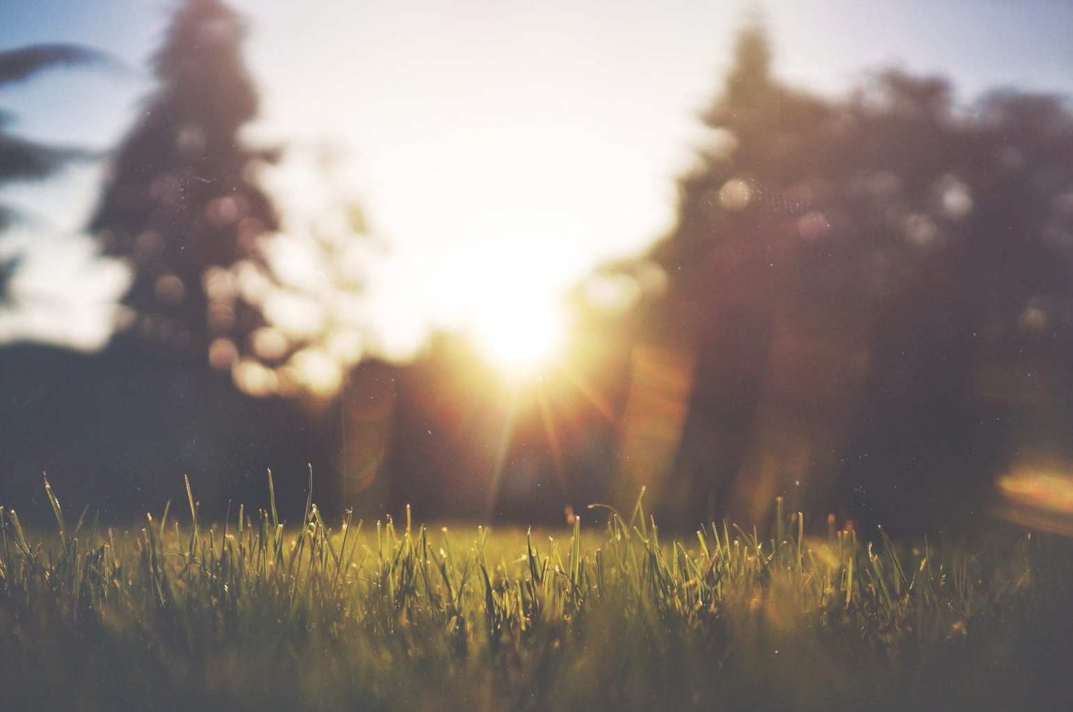 Giving Up: The One Thing I Won't Let You Do