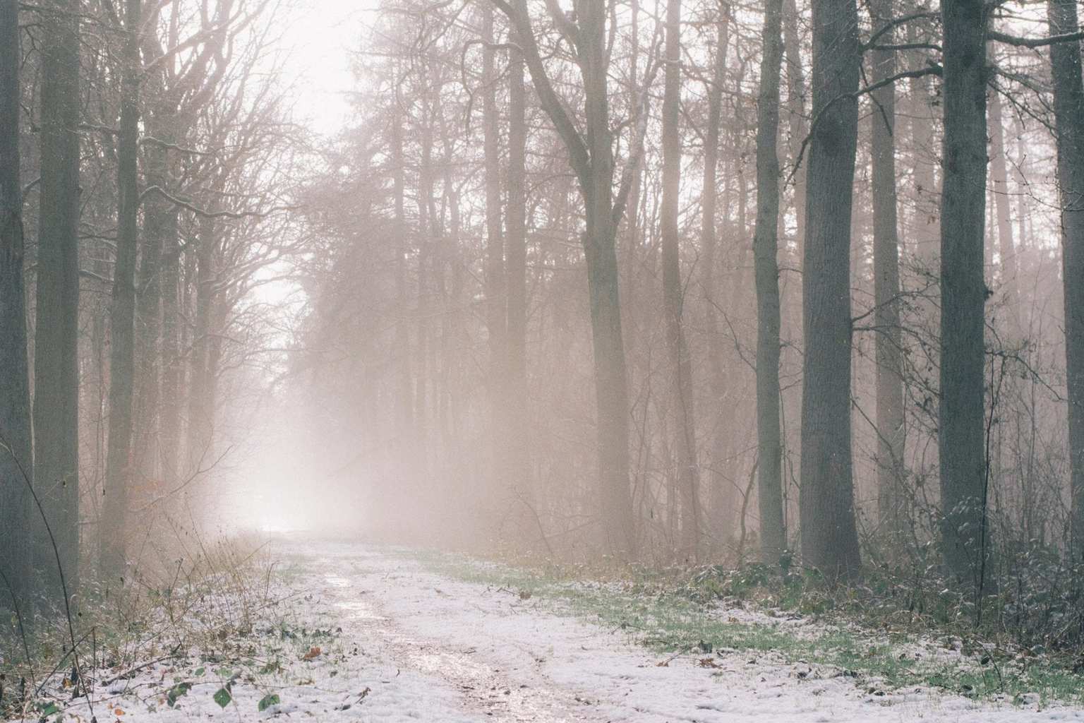 How Your Past Connects To Your Life Purpose (A Letter to my 23 Year Old Self)