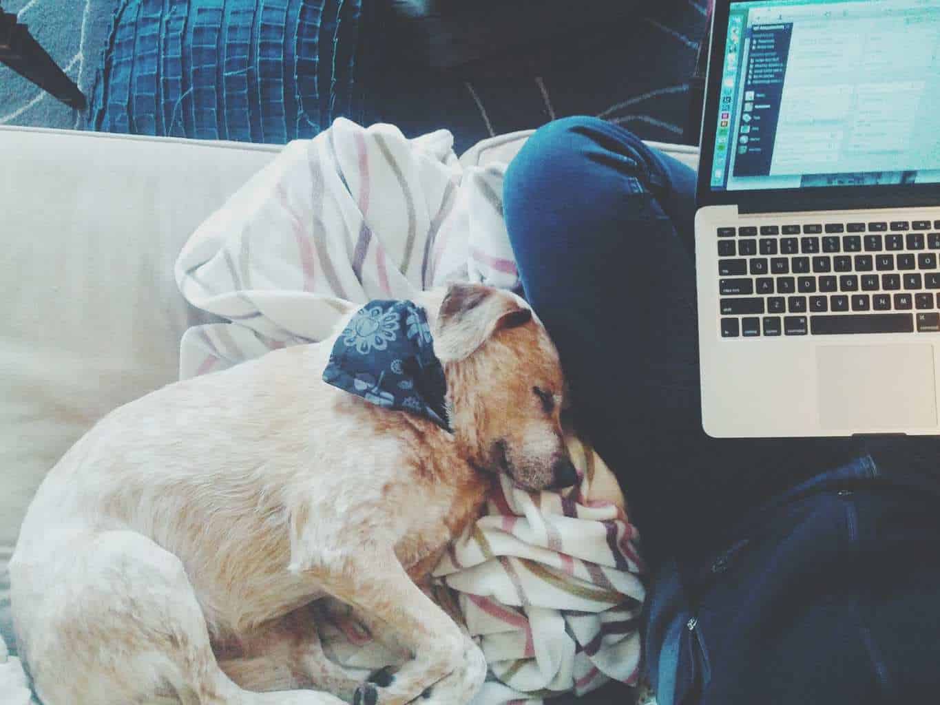 Meaningful Work Isn't Glamorous